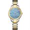  Women's CITIZEN EW2594-84Y Classic Watches