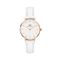 ساعة معصم نسائیه دانيال ولينغتون(DANIEL WELLINGTON) DW00100249
