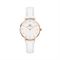  Women's DANIEL WELLINGTON DW00100249 Classic Watches