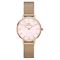  DANIEL WELLINGTON DW00100513 Watches