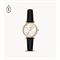  Women's FOSSIL ES5127 Classic Fashion Watches