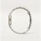  CARTIER CRW2PN0007 Watches