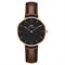  Women's DANIEL WELLINGTON DW00100165 Classic Watches