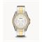  Women's FOSSIL ES3204 Classic Fashion Watches