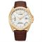Men's CITIZEN CB0253-19A Classic Watches