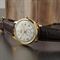 Men's ORIENT RA-AP0106S30B Classic Watches