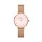  DANIEL WELLINGTON DW00100513 Watches
