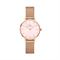  DANIEL WELLINGTON DW00100513 Watches