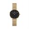  Women's DANIEL WELLINGTON DW00100349 Classic Watches