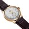 Men's ORIENT RA-AP0106S Classic Watches