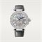  CARTIER CRHPI01435 Watches