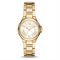  MICHAEL KORS MK7255 Watches