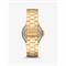  Women's MICHAEL KORS MK7229 Watches