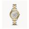  Women's FOSSIL ES5107 Classic Watches