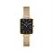 DANIEL WELLINGTON DW00100557 Watches