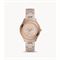  Women's FOSSIL CE1112 Classic Watches