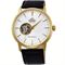 Men's ORIENT SAG02003 Classic Watches
