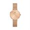  Women's DANIEL WELLINGTON DW00100470 Watches