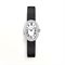  CARTIER CRWB520027 Watches