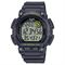  CASIO WS-2100H-8AV Watches