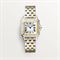  CARTIER CRW2PN0007 Watches