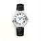  CARTIER CRWSBB0030 Watches