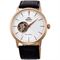 Men's ORIENT FAG02002W Classic Watches