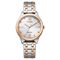 Men's Women's CITIZEN EM0506-77A Classic Watches