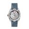 Men's OMEGA 220.22.41.21.03.001 Watches