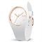  ICE WATCH 978 Watches