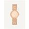  DKNY NY6608 Watches