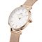  Women's DANIEL WELLINGTON DW00100447 Classic Watches