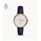  Women's FOSSIL ES5096 Classic Watches