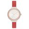  DKNY NY2989 Watches