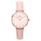  Women's DANIEL WELLINGTON DW00100511 Classic Watches