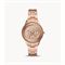  Women's FOSSIL ES5106 Classic Sport Watches