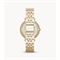  Women's FOSSIL ES3434 Classic Watches