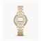  Women's FOSSIL ES3434 Classic Watches