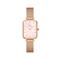  DANIEL WELLINGTON DW00100510 Watches