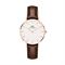 ساعة معصم نسائیه دانيال ولينغتون(DANIEL WELLINGTON) DW00100171