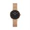  Women's DANIEL WELLINGTON DW00100217 Classic Watches