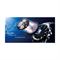 Men's CASIO EQS-900BCD-2AVUDF Watches
