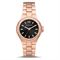  MICHAEL KORS MK7233 Watches