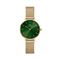  Women's DANIEL WELLINGTON DW00100479 Classic Watches