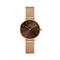  Women's DANIEL WELLINGTON DW00100476 Classic Watches