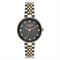  Women's LEE COOPER LC07245.260 Classic Watches
