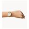  FOSSIL ES5159 Watches