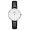  DANIEL WELLINGTON DW00100241 Watches