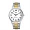 Men's Q&Q C10A-002PY Watches