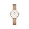  Women's DANIEL WELLINGTON DW00100447 Classic Watches